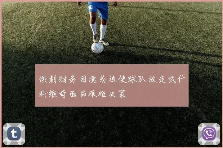 热刺财务困境或迫使球队放走武什科维奇面临艰难决策
