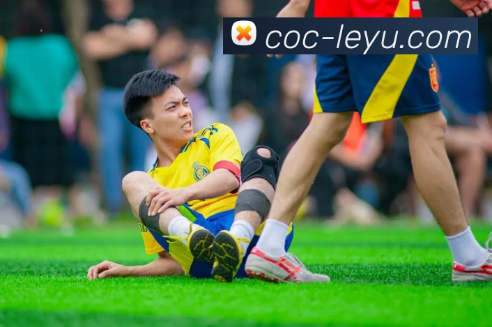 乐鱼体育APP 封面图